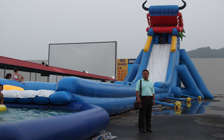 giant inflatable pool slide