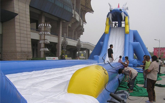 giant slide for sale