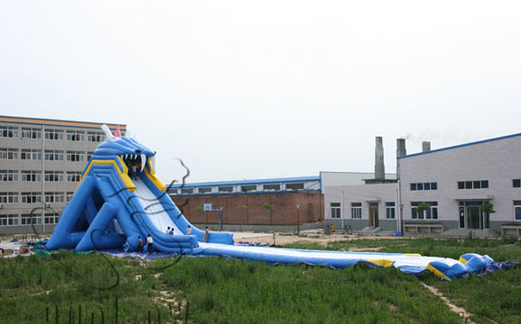 giant slide for sale