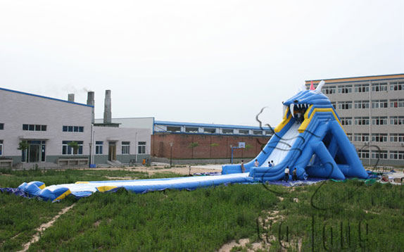 giant slide for sale